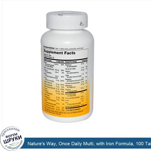 Nature_s_Way__Once_Daily_Multi__with_Iron_Formula__100_Tablets.jpg