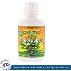 Dynamic_Health_Laboratories__Chlorophyll_with_Aloe_Vera_Juice_Liquid__Natural_Spearmint_Flavor...jpg