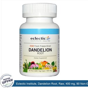 Eclectic_Institute__Dandelion_Root__Raw__400_mg__90_Non_GMO_Veg_Caps.jpg