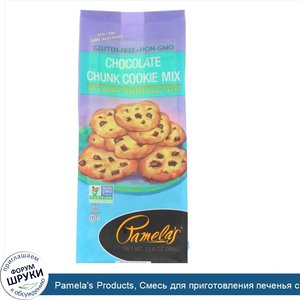 Pamela_s_Products__Смесь_для_приготовления_печенья_с_кусочками_шоколада__13_6_унций__386_г_.jpg