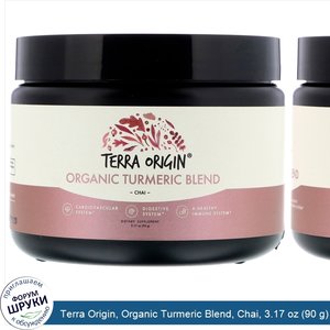 Terra_Origin__Organic_Turmeric_Blend__Chai__3.17_oz__90_g_.jpg