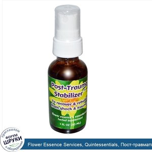 Flower_Essence_Services__Quintessentials__Пост_травматичный_Стабилизатор__Цветочая_Эссенция_и_...jpg