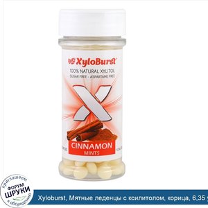 Xyloburst__Мятные_леденцы_с_ксилитолом__корица__6_35_унции__180_г___300_штук.jpg