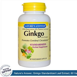 Nature_s_Answer__Ginkgo_Standardized_Leaf_Extract__60_Veggie_Caps.jpg