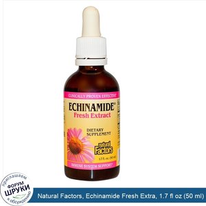 Natural_Factors__Echinamide_Fresh_Extra__1.7_fl_oz__50_ml_.jpg