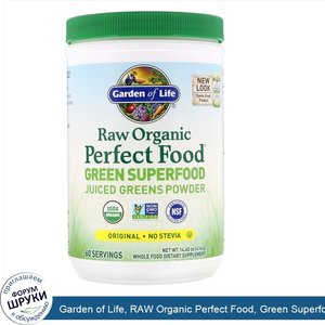 Garden_of_Life__RAW_Organic_Perfect_Food__Green_Superfood__Original__14.60_oz__419_g_.jpg