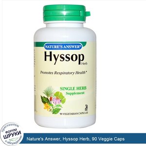 Nature_s_Answer__Hyssop_Herb__90_Veggie_Caps.jpg