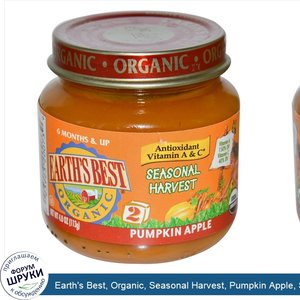 Earth_s_Best__Organic__Seasonal_Harvest__Pumpkin_Apple__Stage_2__4_oz__113_g_.jpg