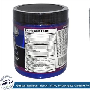 Gaspari_Nutrition__SizeOn__Whey_Hydrolysate_Creatine_Formula__Grape_Cooler__11.59_oz__330_g_.jpg