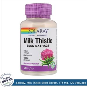 Solaray__Milk_Thistle_Seed_Extract__175_mg__120_VegCaps.jpg