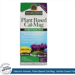 Nature_s_Answer__Plant_Based_Cal_Mag__Vanilla_Cream_Flavor__16_fl_oz__480_ml_.jpg