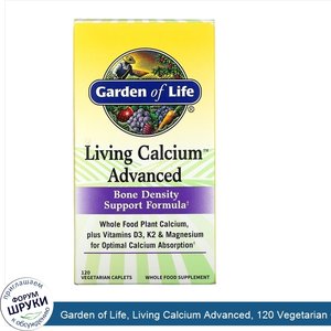 Garden_of_Life__Living_Calcium_Advanced__120_Vegetarian_Caplets.jpg