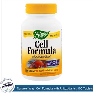 Nature_s_Way__Cell_Formula_with_Anitoxidants__100_Tablets.jpg