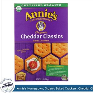 Annie_s_Homegrown__Organic_Baked_Crackers__Cheddar_Classics__6.5_oz__184_g_.jpg