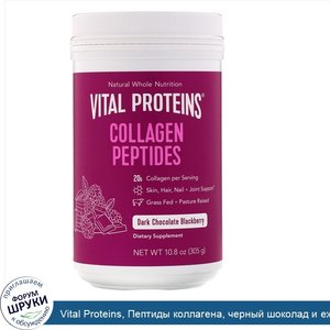 Vital_Proteins__Пептиды_коллагена__черный_шоколад_и_ежевика__305г__10_8унции_.jpg