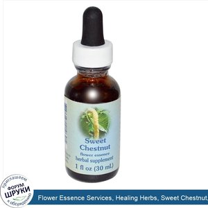 Flower_Essence_Services__Healing_Herbs__Sweet_Chestnut__Flower_Essence__1_fl_oz__30_ml_.jpg