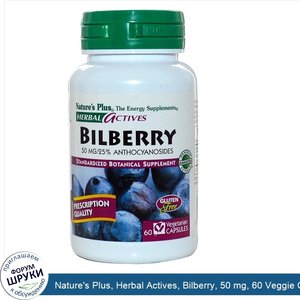 Nature_s_Plus__Herbal_Actives__Bilberry__50_mg__60_Veggie_Caps.jpg