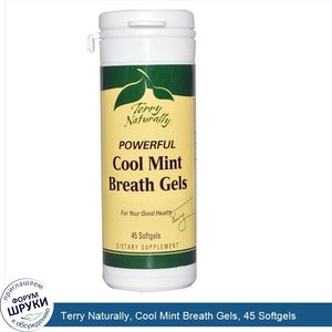 Terry_Naturally__Cool_Mint_Breath_Gels__45_Softgels.jpg