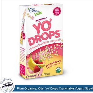 Plum_Organics__Kids__Yo__Drops_Crunchable_Yogurt__Strawberry_Banana_Rama__5_Packs__.25_oz__7_g...jpg