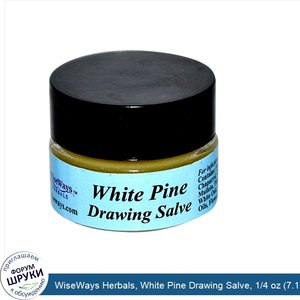 WiseWays_Herbals__White_Pine_Drawing_Salve__1_4_oz__7.1_g_.jpg