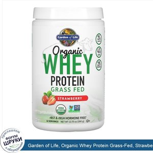 Garden_of_Life__Organic_Whey_Protein_Grass_Fed__Strawberry__13.75_oz__390_g_.jpg