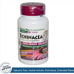 Nature_s_Plus__Herbal_Actives__Echinacea__Extended_Release__375_mg__30_Veggie_Tabs.jpg