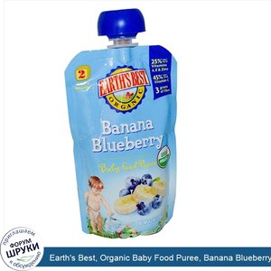 Earth_s_Best__Organic_Baby_Food_Puree__Banana_Blueberry__4.2_oz__120_g_.jpg