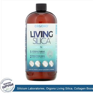 Silicium_Laboratories__Orgono_Living_Silica__Collagen_Booster__33.85_fl_oz__1000_ml_.jpg