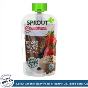 Sprout_Organic__Baby_Food__6_Months_Up__Mixed_Berry_Oatmeal__3.5_oz__99_g_.jpg