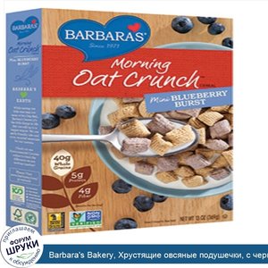 Barbara_s_Bakery__Хрустящие_овсяные_подушечки__с_черникой__13_унций__369_г_.jpg