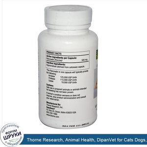 Thorne_Research__Animal_Health__DipanVet_for_Cats_Dogs__60_Capsules.jpg