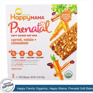 Happy_Family_Organics__Happy_Mama__Prenatal_Soft_Baked_Oat_Bar__Carrot__Raisin__Cinnamon__5_Bars.jpg