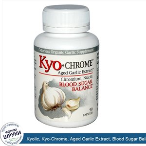 Kyolic__Kyo_Chrome__Aged_Garlic_Extract__Blood_Sugar_Balance__90_Capsules.jpg