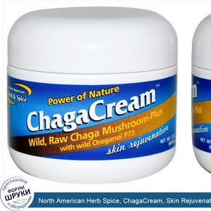 North_American_Herb_Spice__ChagaCream__Skin_Rejuvenation__2_oz__60_ml_.jpg