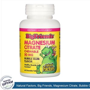 Natural_Factors__Big_Friends__Magnesium_Citrate__Bubble_Gum_Flavor__50_mg__60_Chewable_Tablets.jpg