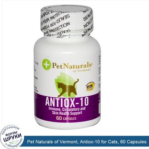 Pet_Naturals_of_Vermont__Antiox_10_for_Cats__60_Capsules.jpg