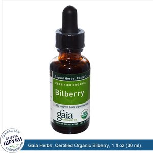 Gaia_Herbs__Certified_Organic_Bilberry__1_fl_oz__30_ml_.jpg