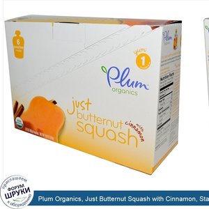 Plum_Organics__Just_Butternut_Squash_with_Cinnamon__Stage_1__6_Pouches__3_oz__85_g__Each.jpg