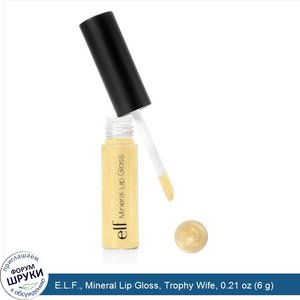 E.L.F.__Mineral_Lip_Gloss__Trophy_Wife__0.21_oz__6_g_.jpg