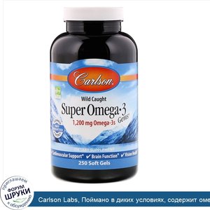 Carlson_Labs__Поймано_в_диких_условиях__содержит_омега_кислоты_высшего_качества__1200_мг__250_...jpg