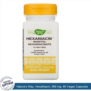 Nature_s_Way__HexaNiacin__590_mg__60_Vegan_Capsules.jpg