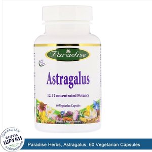 Paradise_Herbs__Astragalus__60_Vegetarian_Capsules.jpg