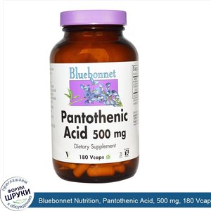 Bluebonnet_Nutrition__Pantothenic_Acid__500_mg__180_Vcaps.jpg