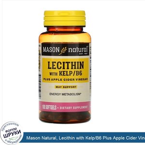 Mason_Natural__Lecithin_with_Kelp_B6_Plus_Apple_Cider_Vinegar__100_Softgels.jpg