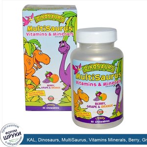 KAL__Dinosaurs__MultiSaurus__Vitamins_Minerals__Berry__Grape_Orange__60_Chewables.jpg