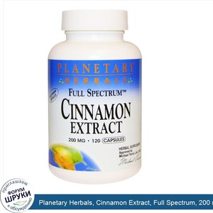 Planetary_Herbals__Cinnamon_Extract__Full_Spectrum__200_mg__120_Capsules.jpg