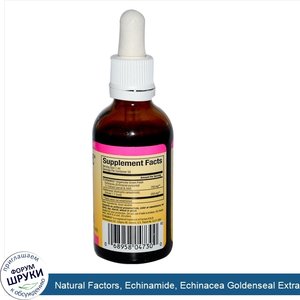 Natural_Factors__Echinamide__Echinacea_Goldenseal_Extract__Tincture__1.7_fl_oz__50_ml_.jpg