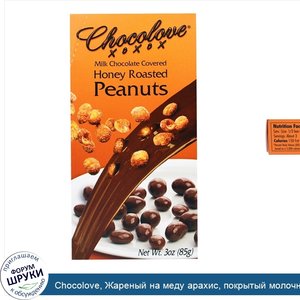 Chocolove__Жареный_на_меду_арахис__покрытый_молочным_шоколадом__3_унции__85_г_.jpg