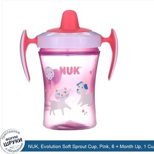 NUK__Evolution_Soft_Sprout_Cup__Pink__6___Month_Up__1_Cup__8_oz__240_ml_.jpg