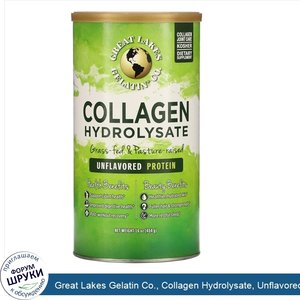 Great_Lakes_Gelatin_Co.__Collagen_Hydrolysate__Unflavored_Protein__16_oz__454_g_.jpg